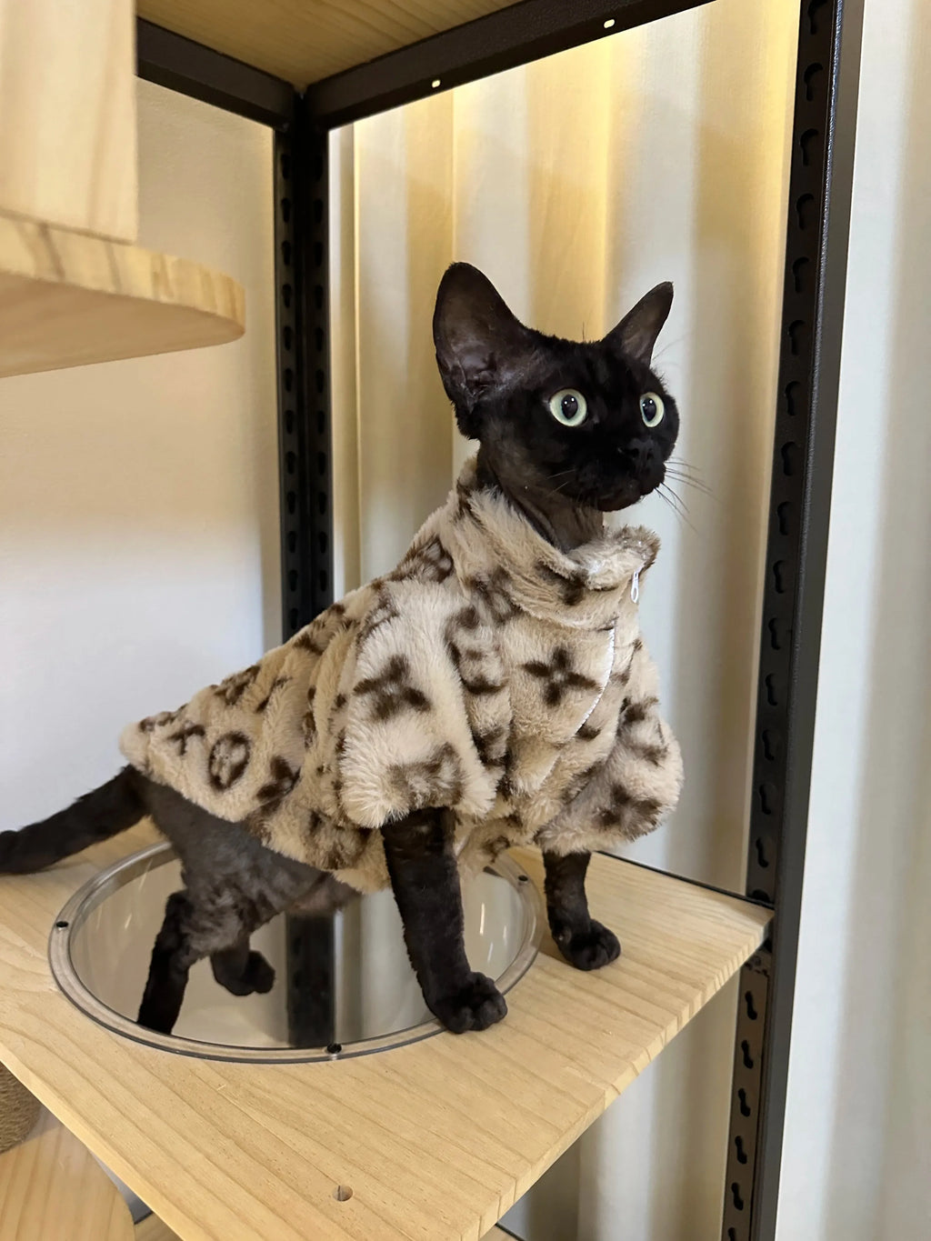 Dog Clothes Pet for Small Breeds Dogs Clothing Hoodie Winter Designer Suit Products Accessory Accessories Costume Medium