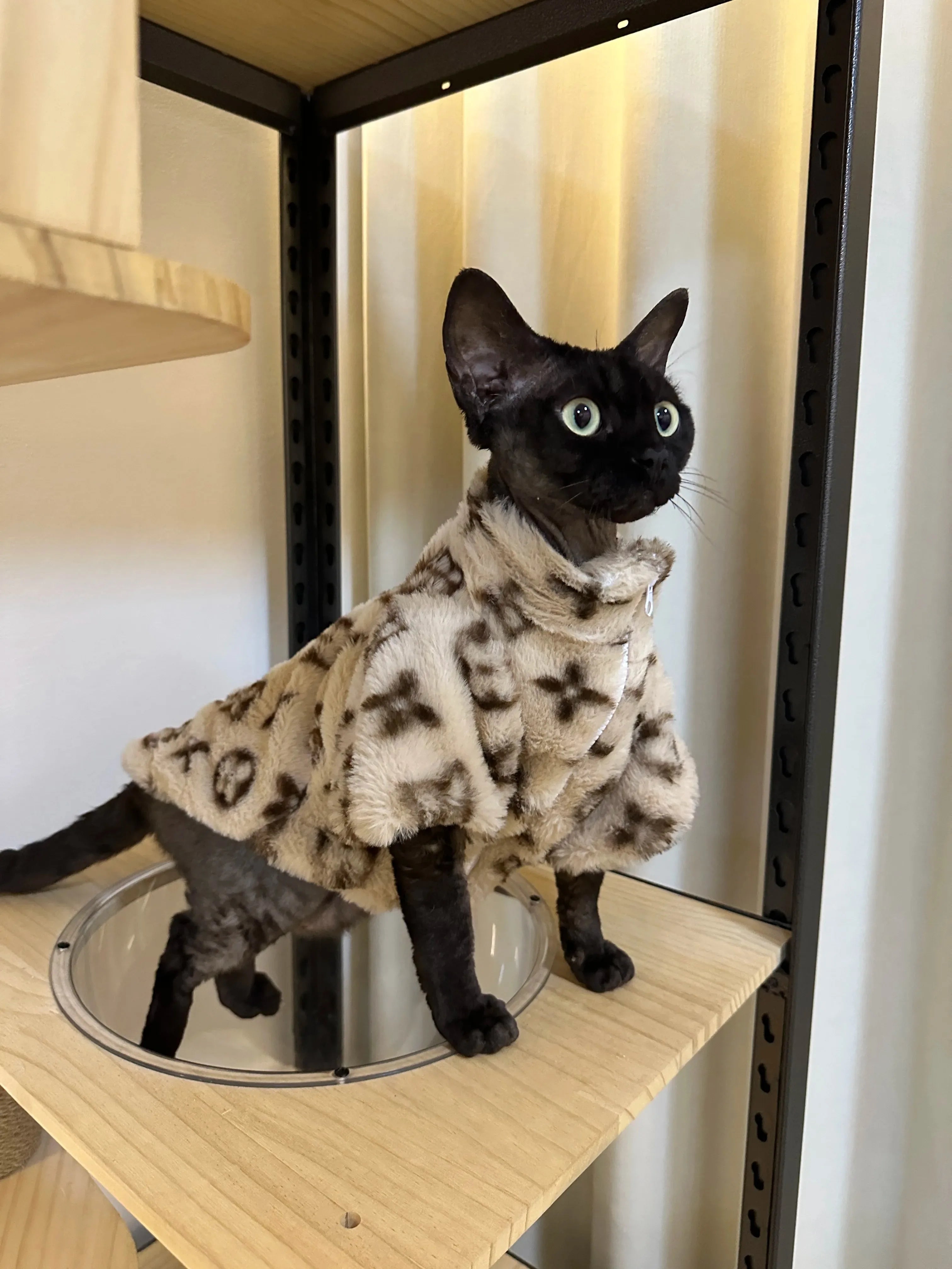 Dog Clothes Pet for Small Breeds Dogs Clothing Hoodie Winter Designer Suit Products Accessory Accessories Costume Medium